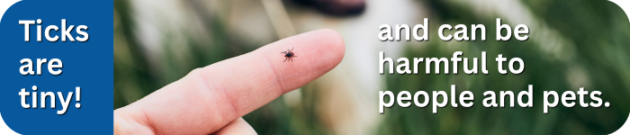 Ticks are tiny and can be harmful to people and pets. 