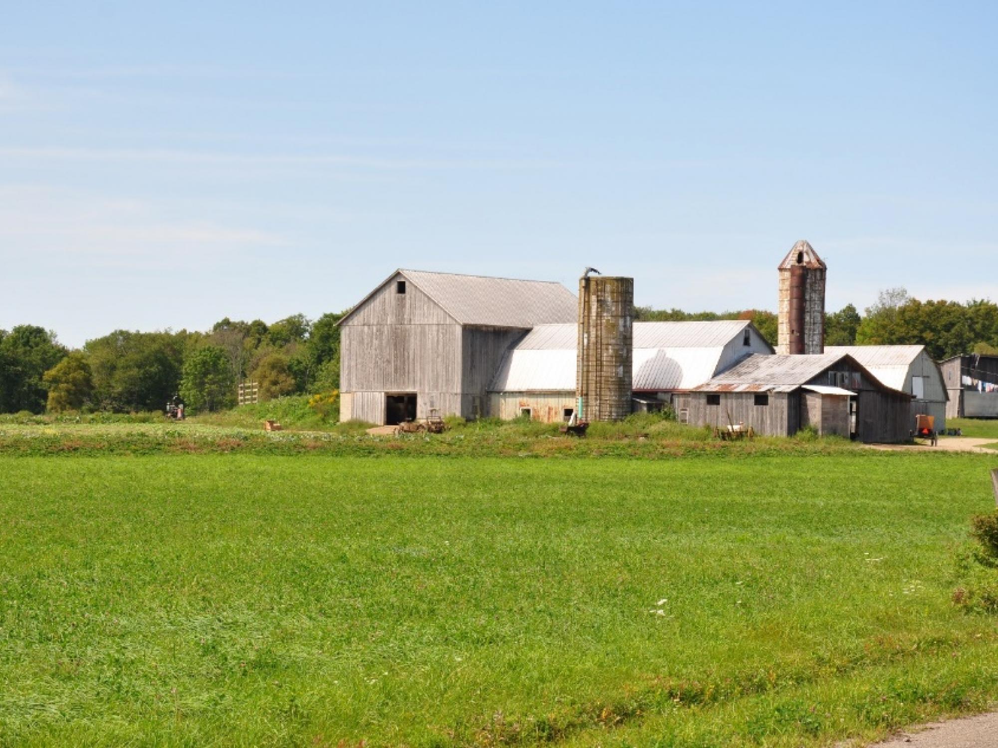 A Farm