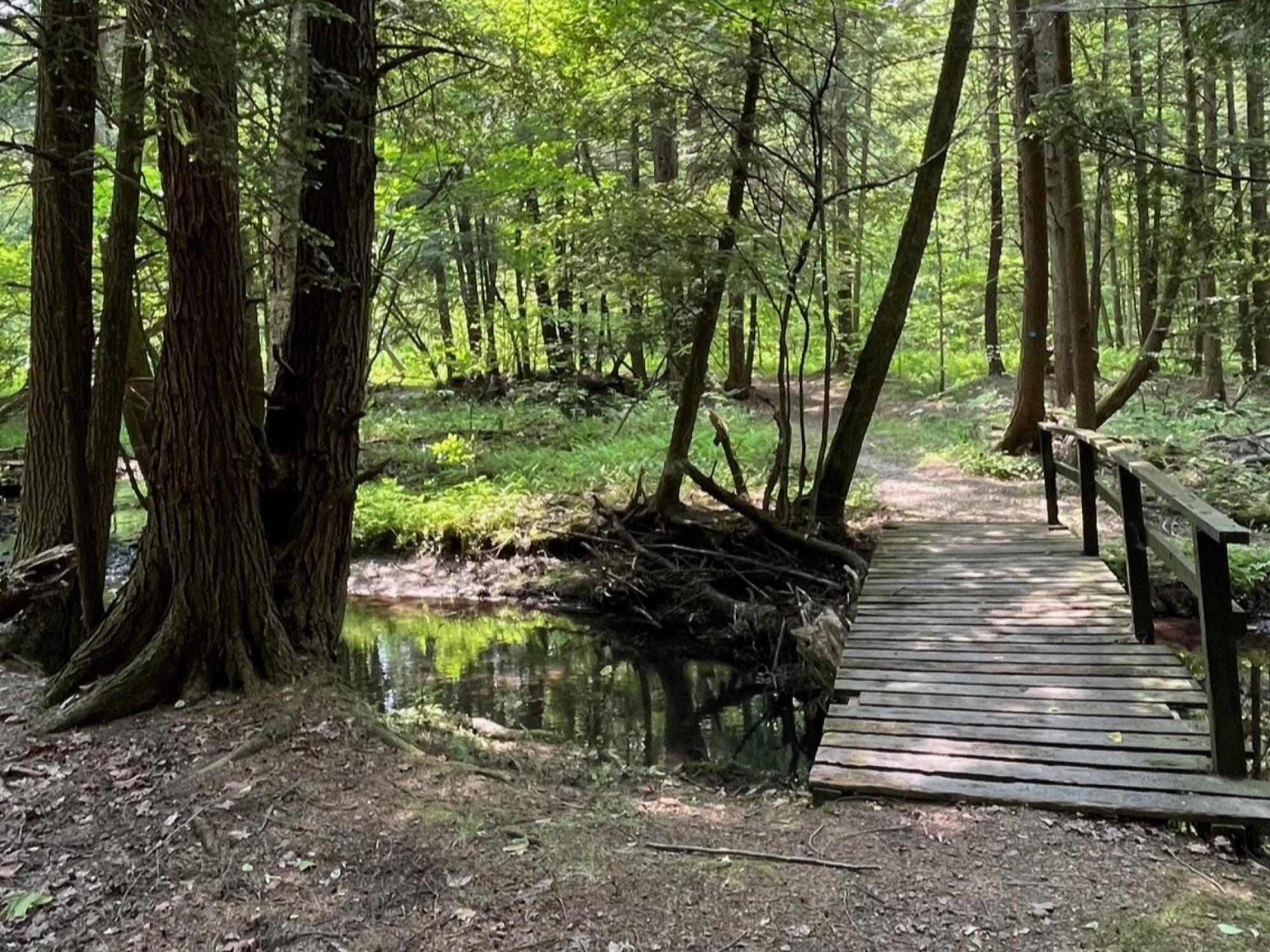 Sections of the Fred J. Cusimano Westside Overland Trail in Chautauqua County will see significant upgrades and improvements in the coming months, thanks to a series of recently received grants from various local and regional foundations. (Submitted Photo)