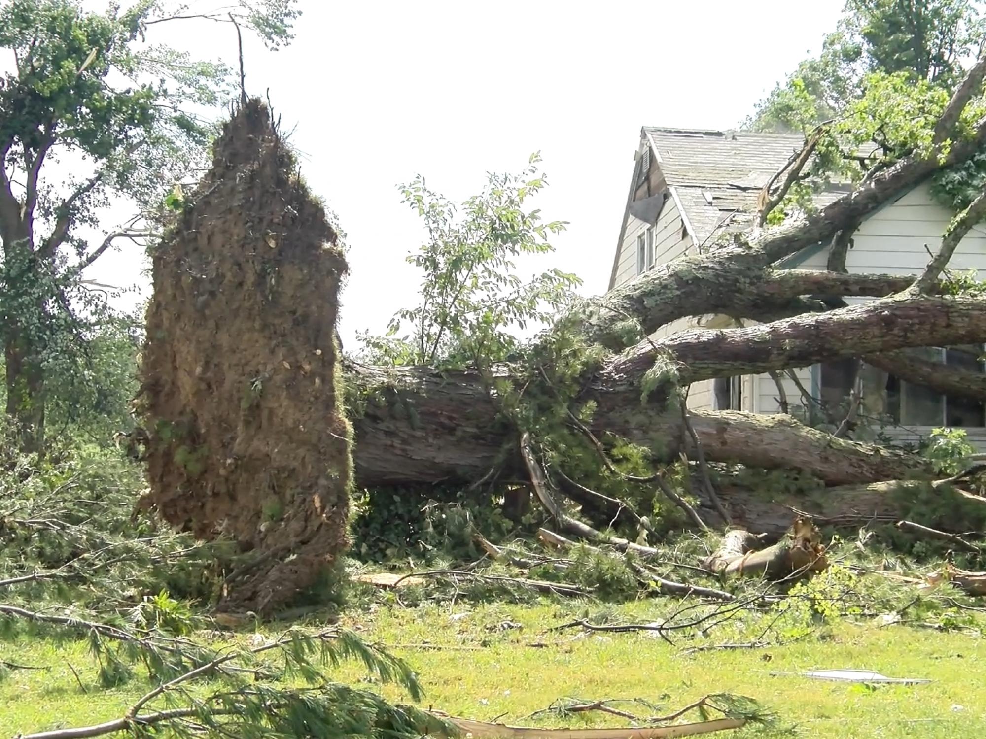 Severe Storm Causes Extensive Damage in Forestville, NY