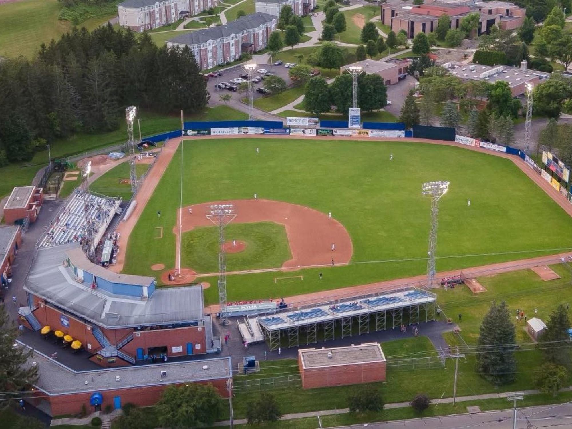 Jamestown Tarp Skunks
