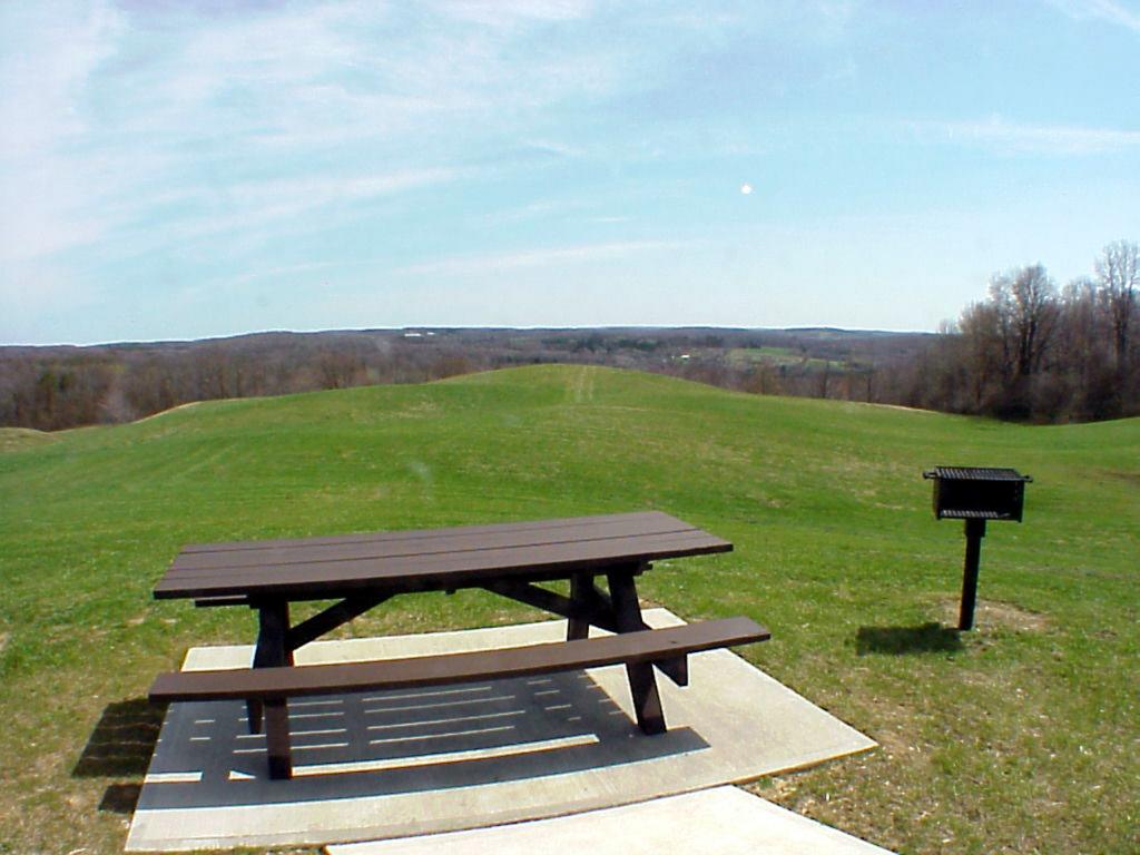 Erlandson Park View