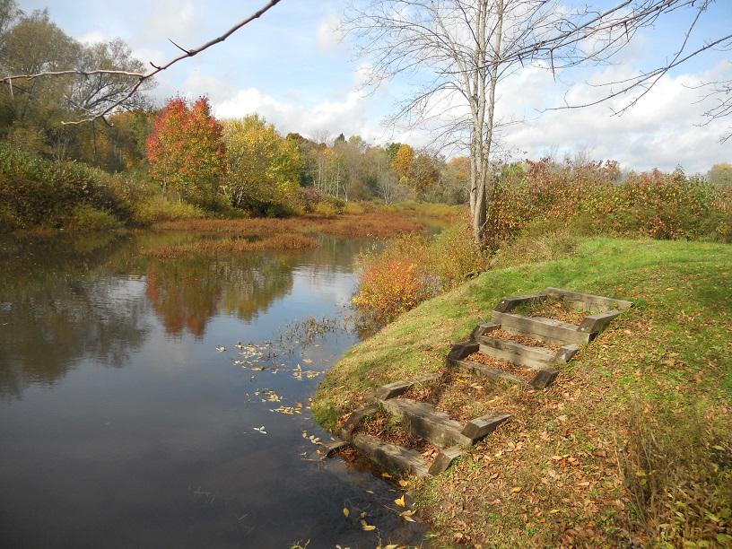 Waterway View