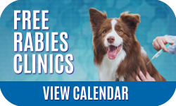 Free rabies clinics - click to view calendar.  Image of a dog receiving a vaccination