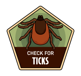 check for ticks