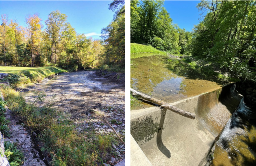 Ripley creek bed