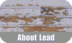 About Lead Button