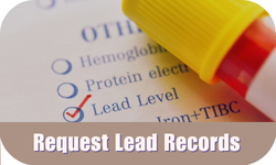 Request Lead Home Records for your address