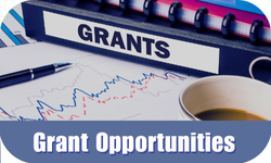 Grant Funding Opportunities Button